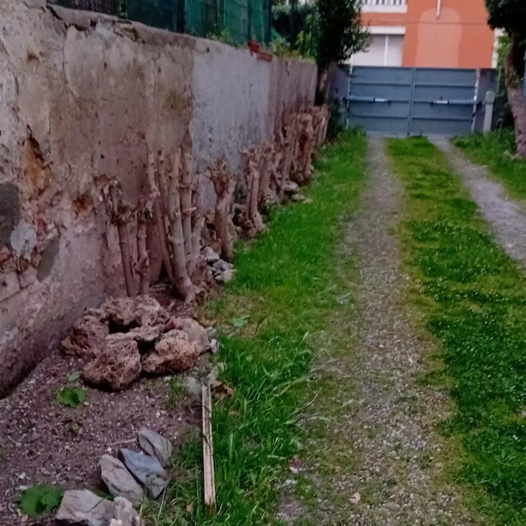 Ubytování v soukromí Apartmán La Palma Livorno