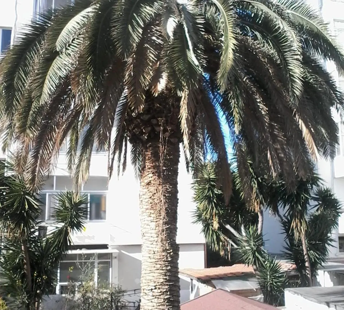 Apartmán La Palma Livorno